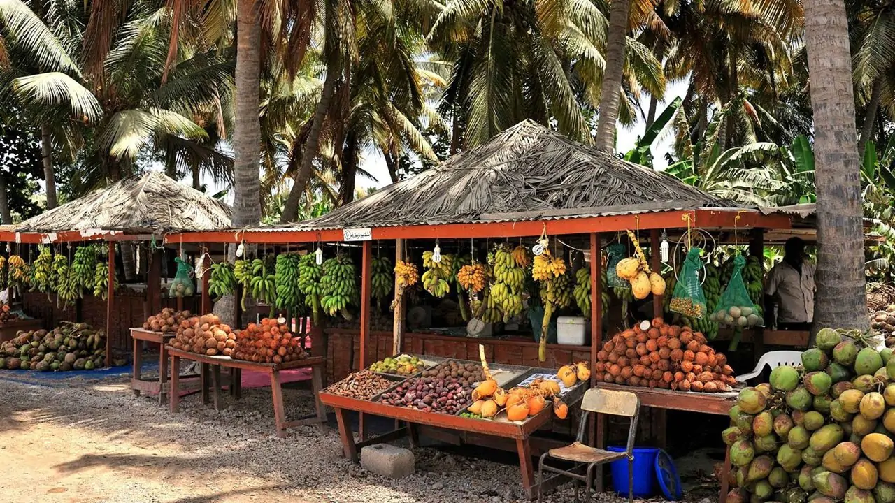 Réserver une visite des beautés de Salalah Ã  Oman