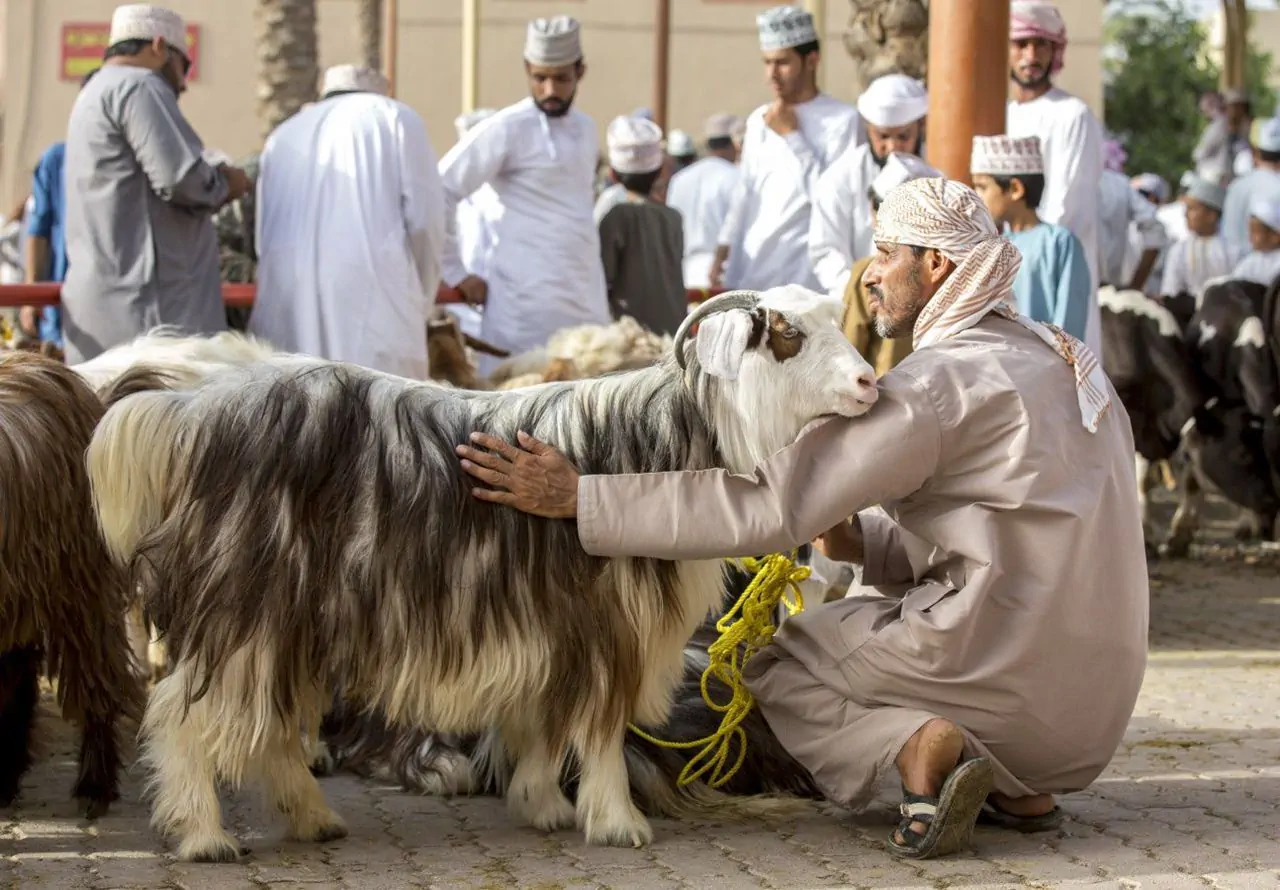 Book mysteries of Oman tour