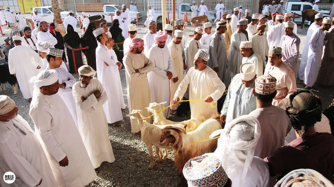 Reserve um tour pelos souqs, montanhas e vilas antigas de Omã