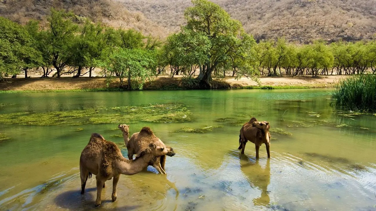 Mysterious city of Ubar and Rub Al Khali in Oman