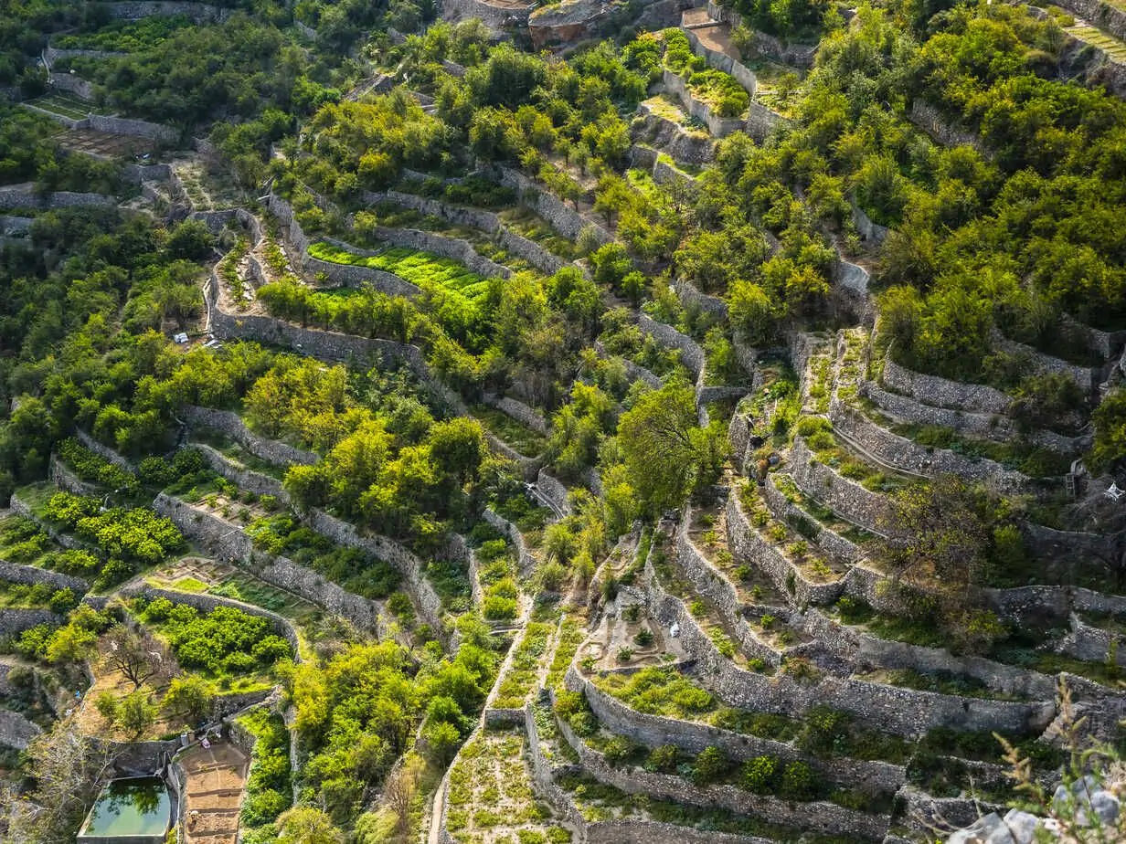 Reserve un tour por los zocos, las montañas de Omán